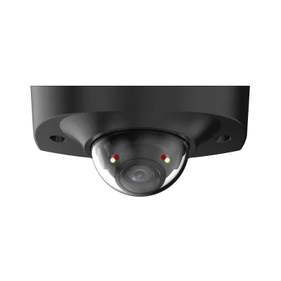 4MP Smart Dual Light Fixed-focal Dome WizSense Network Camera — image 5